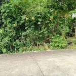 Bán đất thổ cư 100m2 đường nhánh Bà 39, Phú An giá 1,45 tỷ - Ảnh thu nhỏ 5