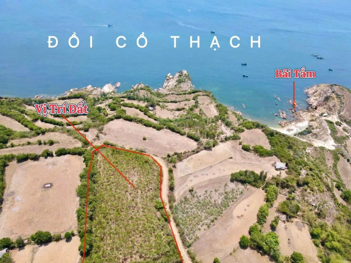 Đất view biển Đồi Cổ Thạch, Tuy An, 2.348m² - Ảnh 1