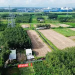 Bán đất nền 100m2 gần KCN Becamex giá 395 triệu - Ảnh thu nhỏ 1