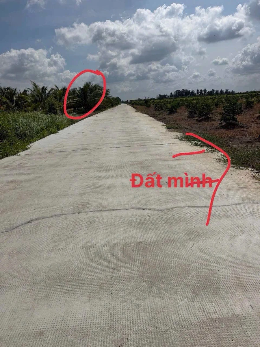Bán đất vườn Thạnh Lợi Long An 500-750m2 560-690 triệu - Ảnh thu nhỏ 2