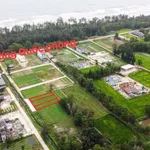 Bán đất thổ cư 606m2 mặt tiền biển Khánh Hòa - Ảnh thu nhỏ 5
