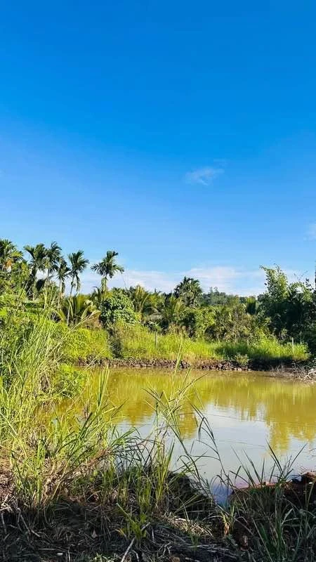 Bán đất 785m² giá 790 triệu đường 19 Tháng 5 - Ảnh thu nhỏ 3