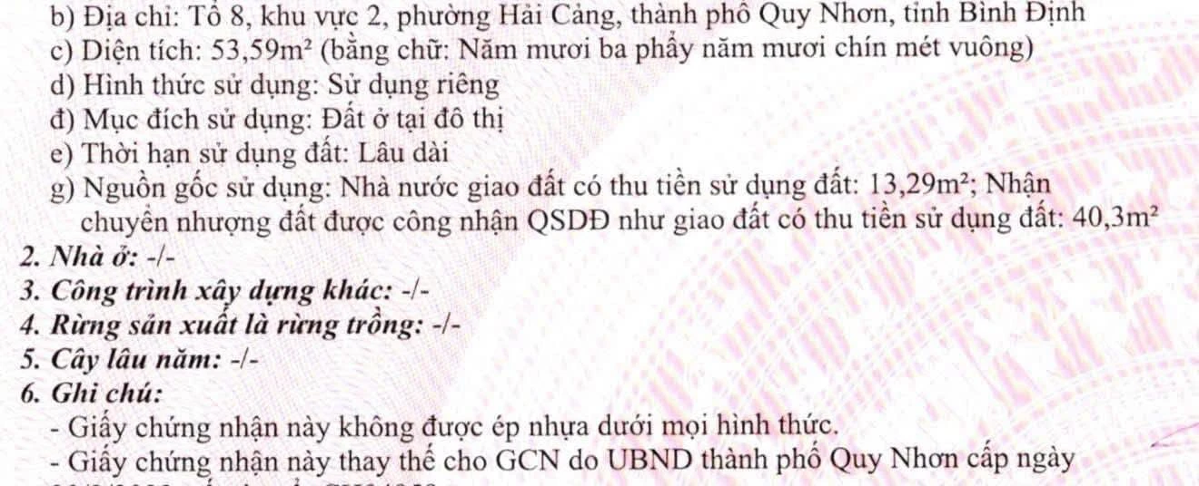 Bán lô đất góc 2 mặt đường Bùi Xuân Phái 54m2 Quy Nhơn - Ảnh 1