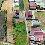 Bán đất nền 250m² Định An cách Đà Lạt 14km - Ảnh thu nhỏ 2