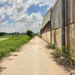 Cho thuê 6000m² đất Bình Minh, Hóc Môn - 30tr/tháng - Ảnh thu nhỏ 1