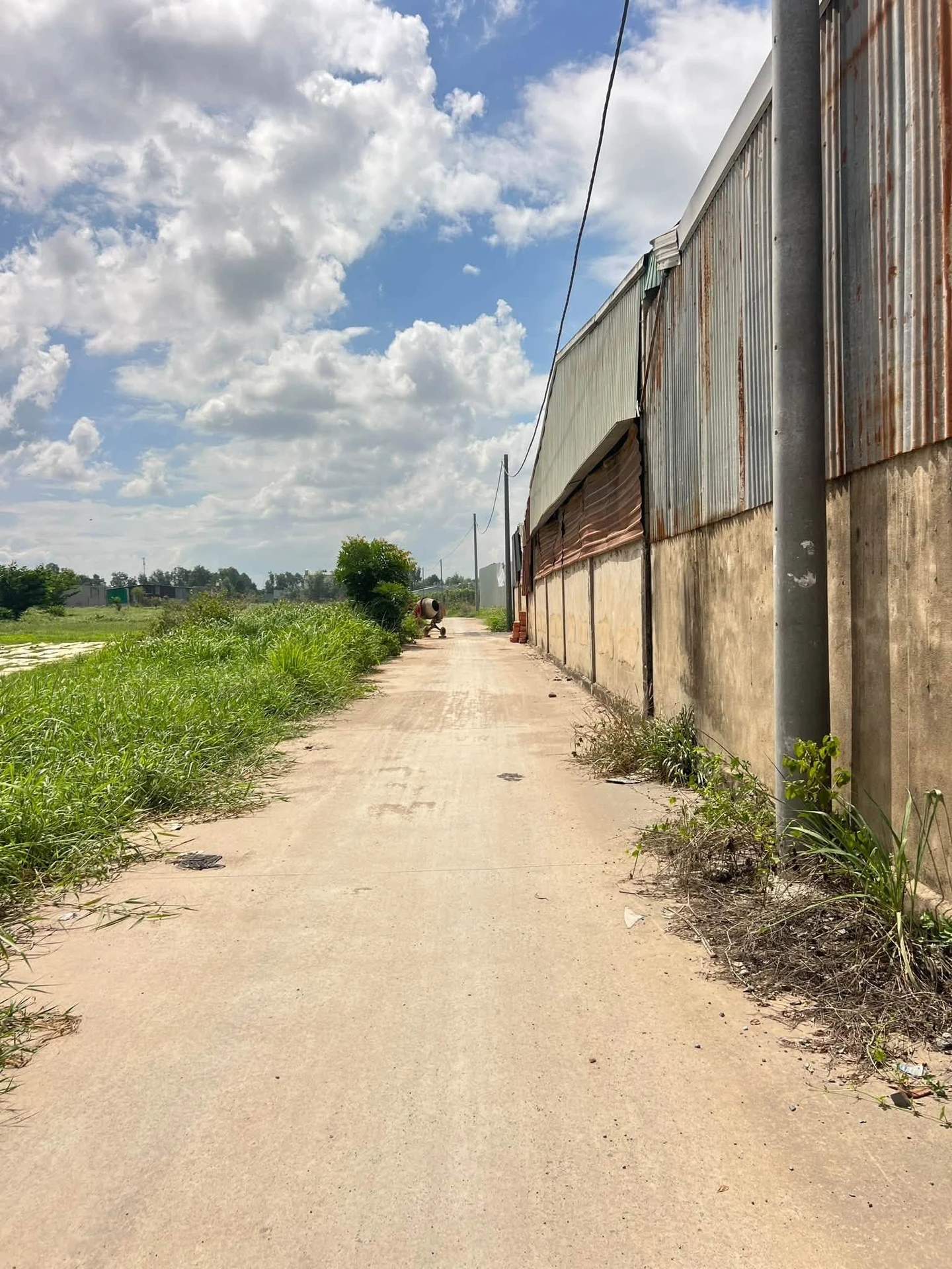 Cho thuê 6000m² đất Bình Minh, Hóc Môn - 30tr/tháng - Ảnh 1