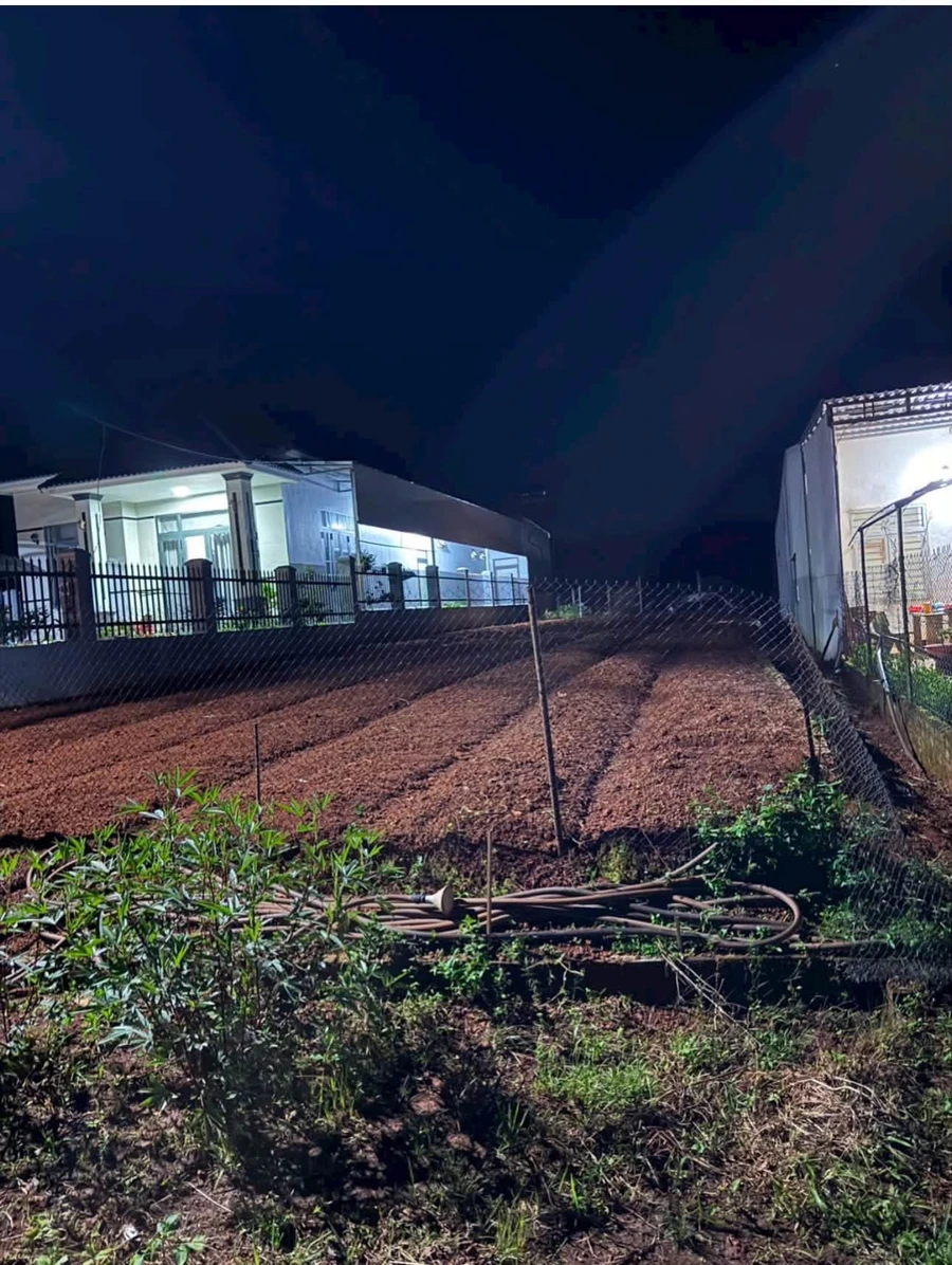 Bán lô đất 15.000m² Đắk Nông giá 1 tỷ 350 triệu - Ảnh thu nhỏ 3