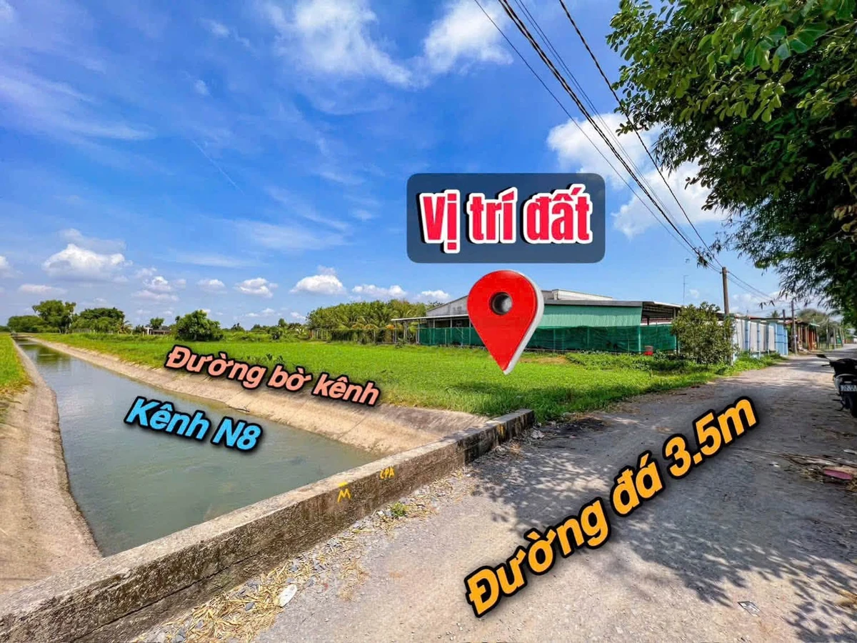 Bán đất Phước Trạch 1746m² thổ cư 1222m² Gò Dầu - Ảnh thu nhỏ 5
