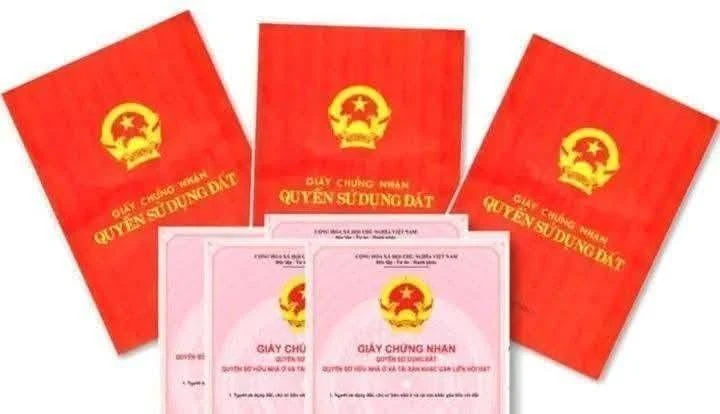 Bán đất nền 80m² mặt tiền Chí Linh từ 1 tỷ 3 - Ảnh thu nhỏ 3
