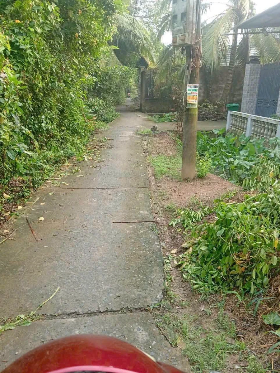 Bán nhà gỗ 107m2 Phú An Hoà Bến Tre - Ảnh 1