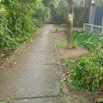 Bán nhà gỗ 107m2 Phú An Hoà Bến Tre - Ảnh thu nhỏ 1