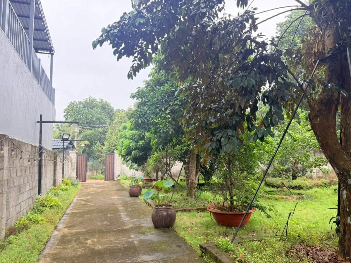Bán đất 600m2 gần uỷ ban Bàu Sen, Nhà Bè - 2,9 tỷ - Ảnh thu nhỏ 4