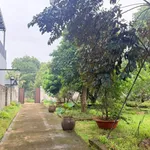 Bán đất 600m2 gần uỷ ban Bàu Sen, Nhà Bè - 2,9 tỷ - Ảnh thu nhỏ 4