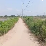 Bán đất 8500m² giá 1 tỷ 20 triệu Ba Tri Bến Tre - Ảnh thu nhỏ 1
