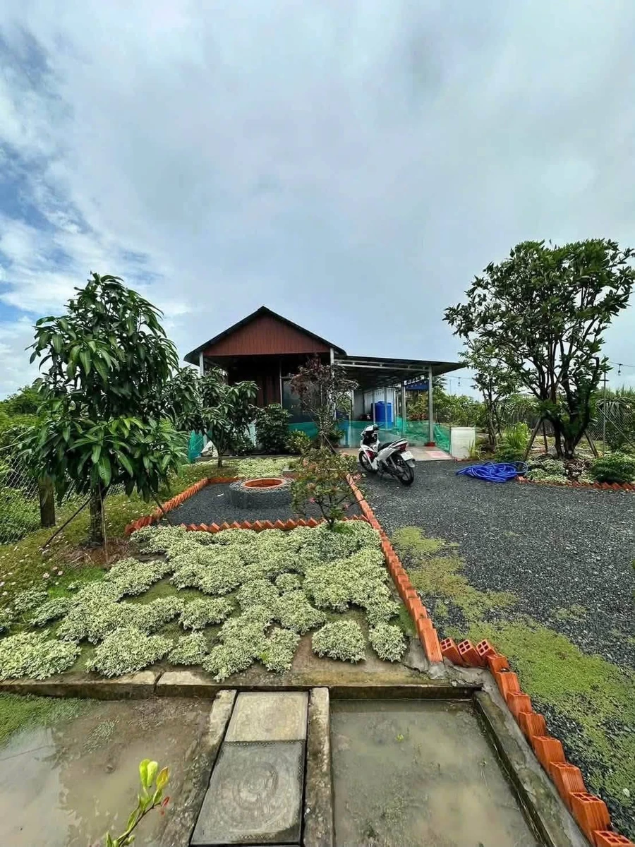 Bán nhà vườn 2PN, 952m² Hoà Phú, Châu Thành, Long An - 1 tỷ 350 - Ảnh thu nhỏ 4