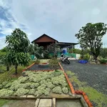 Bán nhà vườn 2PN, 952m² Hoà Phú, Châu Thành, Long An - 1 tỷ 350 - Ảnh thu nhỏ 4