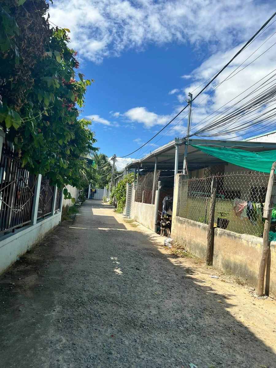 Bán lô đất 253m² CLN cho thổ cư Long Bình 1, Phan Rang - Ảnh thu nhỏ 4
