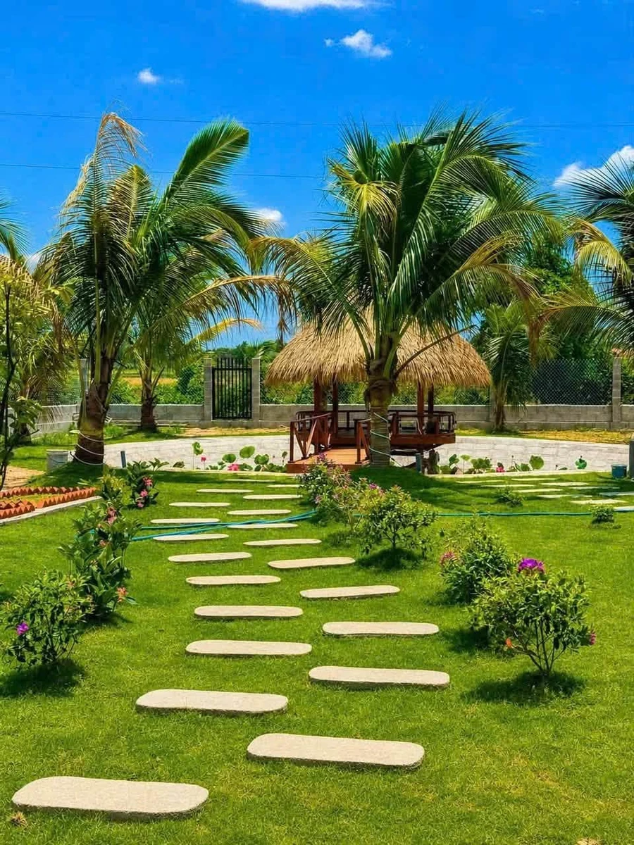 Bán nhà vườn nghỉ dưỡng 1.600m² Lâm Đồng, giá 1 tỷ 850 triệu - Ảnh thu nhỏ 5