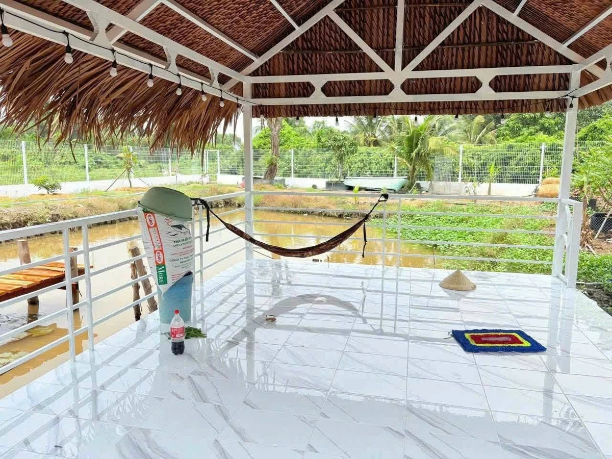 Bán nhà vườn 1068m² Bến Lức Long An, 3PN, sổ hồng - Ảnh thu nhỏ 5