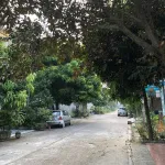 Phân lô Bích Đào 75m2 MT 5m | Vỉa hè, hành lang thông gió | Chỉ 2,85 tỷ - Ảnh thu nhỏ 6