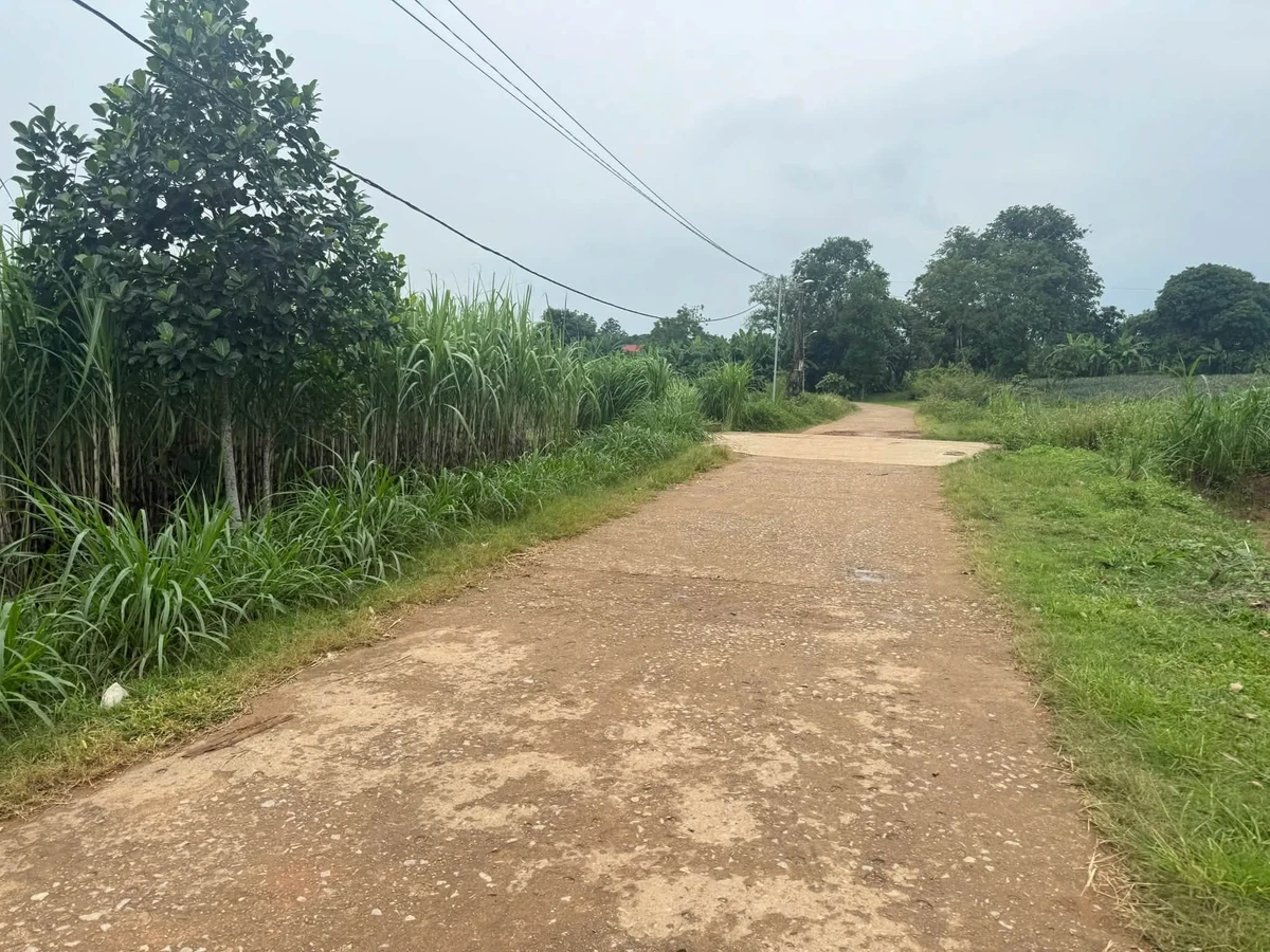 Bán đất Quỳnh Thắng 3433m2 giá 1 tỷ 3 - Ảnh thu nhỏ 2