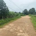 Bán đất Quỳnh Thắng 3433m2 giá 1 tỷ 3 - Ảnh thu nhỏ 2