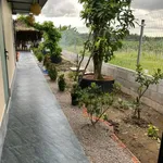 Bán nhà vườn 450m² 2 phòng ngủ Bình Lục Tây Ninh - Ảnh thu nhỏ 5