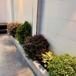 Bán nhà mới xây 1 trệt 1 lầu 135m2, 3PN, đường bê tông 5m gần Trần Hưng Đạo, Long Điền - Ảnh thu nhỏ 3