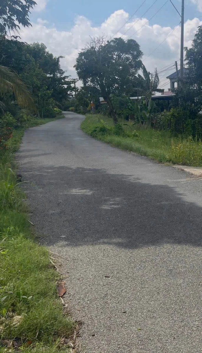 Bán đất thổ cư 5x35m giá 390 triệu tại xã An Lục Long, Châu Thành, Tây Ninh - Ảnh 1