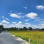Bán đất thổ cư 175m² Gò Dầu, Tây Ninh 490 triệu - Ảnh thu nhỏ 3