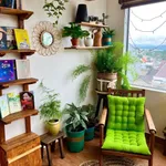 Bán khách sạn 8 phòng Đà Lạt 80m² giá 6,2 tỷ - Ảnh thu nhỏ 4