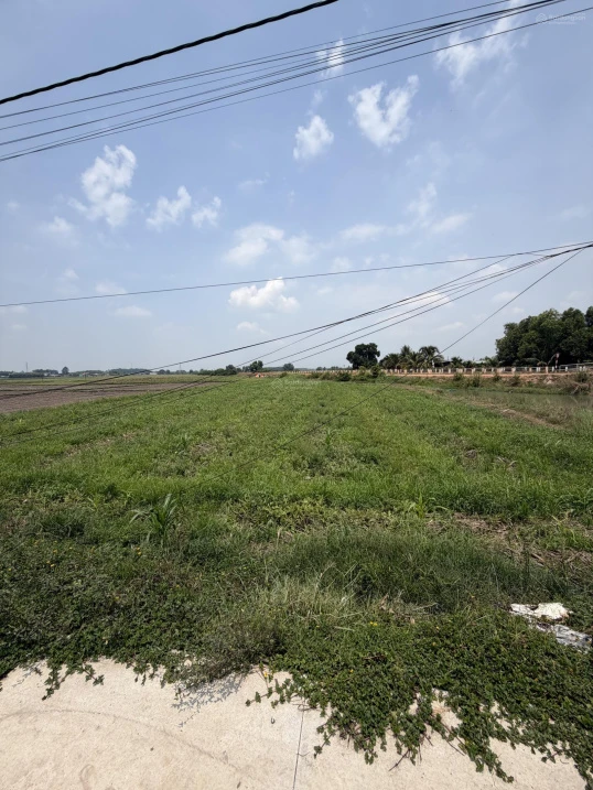 1.198m2 đất lúa, quy hoạch phân khu đất ở An Tịnh - Trảng Bàng - Tây Ninh