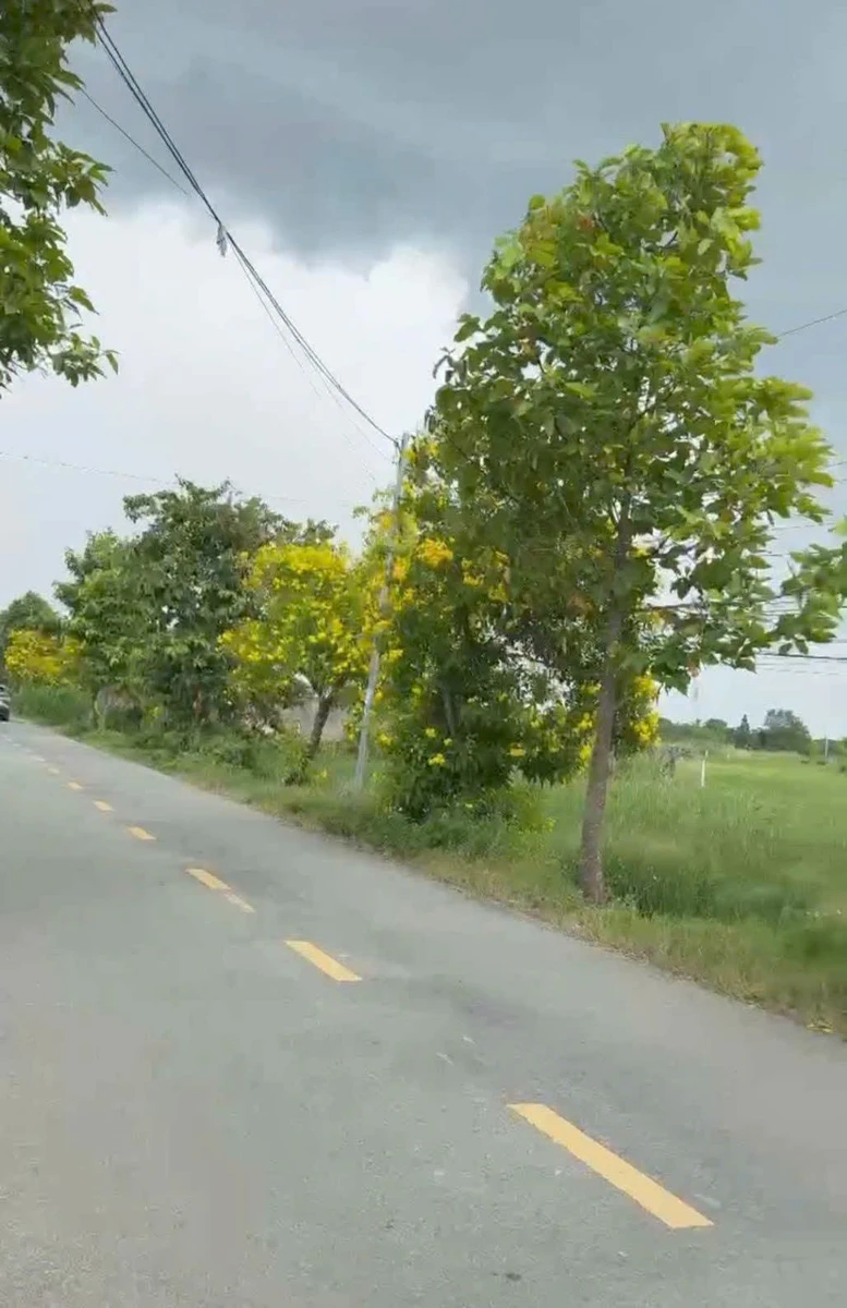 Bán 2000m² đất mặt tiền Thanh Phú, Long An - Ảnh thu nhỏ 2