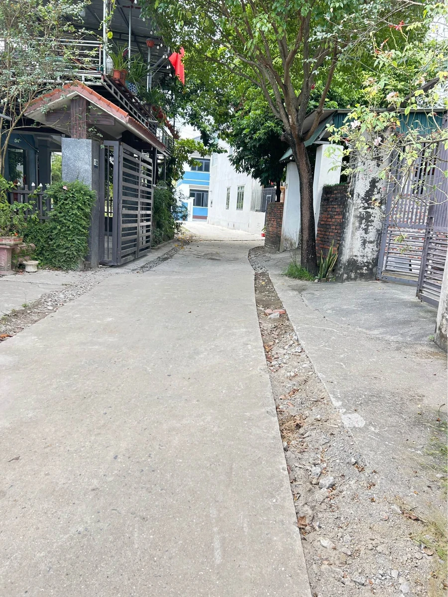 Bán đất 88m² mặt tiền Phường Hà Phong, Quận 12 - Ảnh thu nhỏ 3