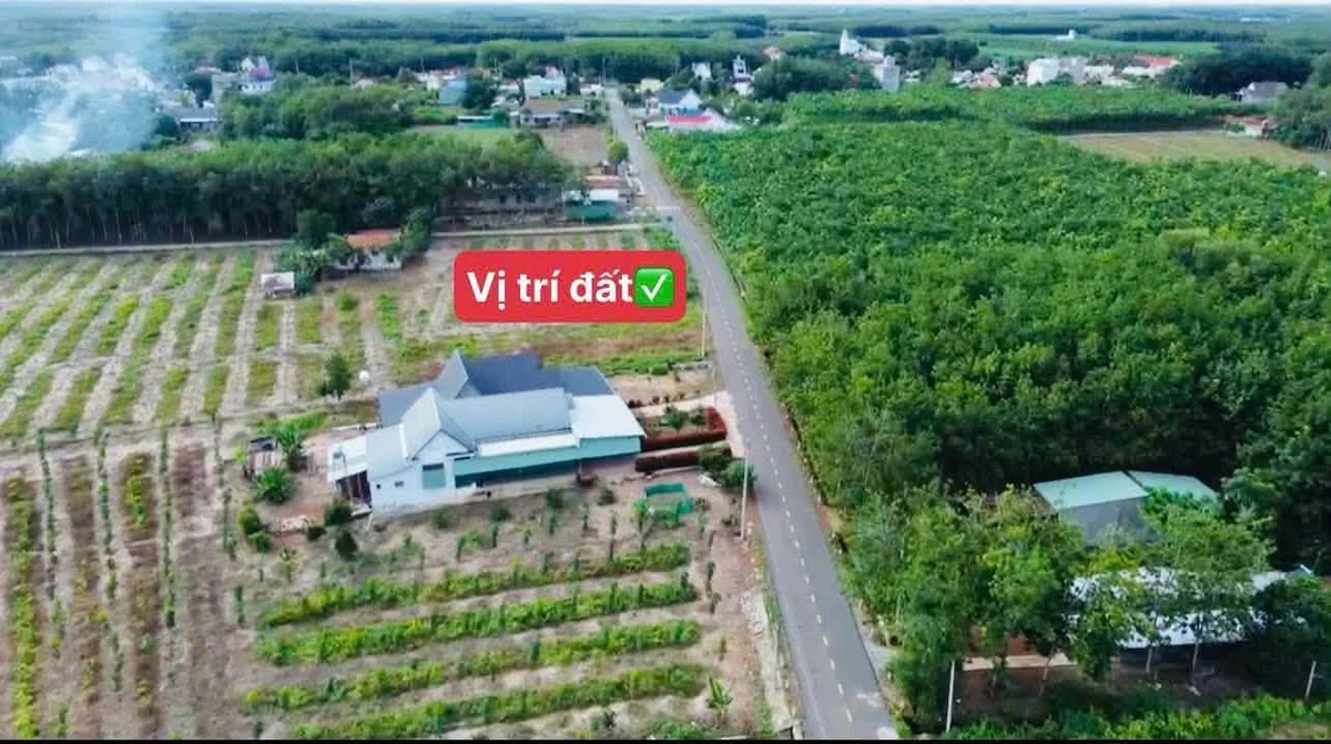 Bán đất 6x40m2 Số 2 Minh Thắng, Bình Chánh - Ảnh thu nhỏ 2