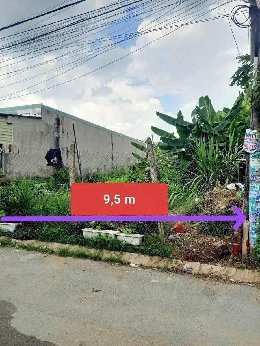 Bán 2 lô đất full thổ cư Cần Giờ 400m² và 270m² - Ảnh thu nhỏ 3