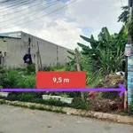 Bán 2 lô đất full thổ cư Cần Giờ 400m² và 270m² - Ảnh thu nhỏ 3