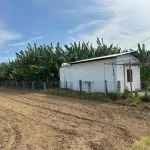 Bán 1552m2 đất vườn có nhà - Lương Cang, Đông Vinh - Phan Rang - 990tr bao sổ - Ảnh thu nhỏ 11
