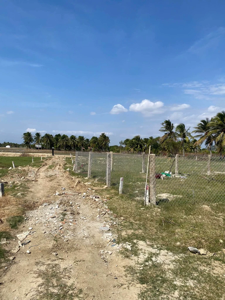 Bán lô đất vườn 300m² Ninh Chữ, Khánh Hòa, 420 triệu - Ảnh thu nhỏ 2