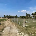 Bán lô đất vườn 300m² Ninh Chữ, Khánh Hòa, 420 triệu - Ảnh thu nhỏ 2
