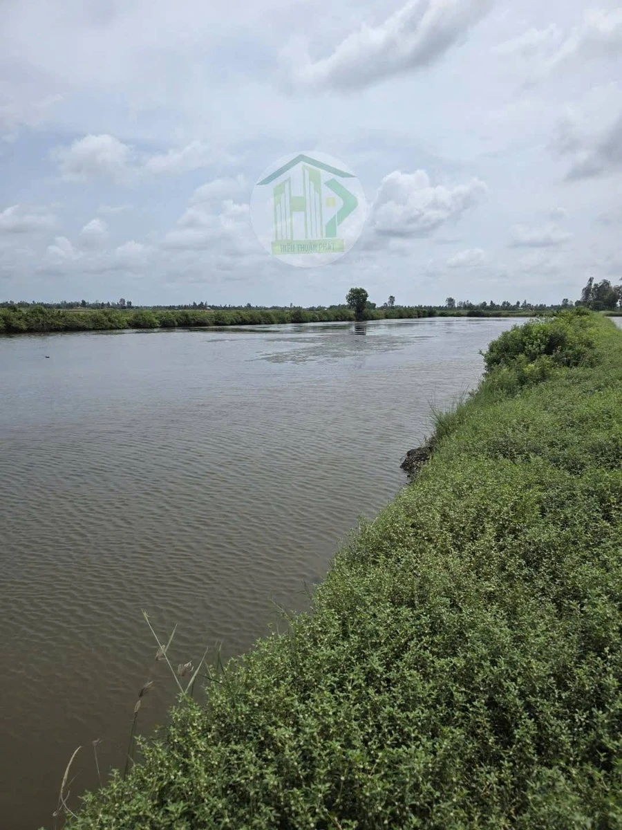 Bán đất lúa tôm 9.773 m² thị trấn Phước Long, Cà Mau - Ảnh thu nhỏ 2