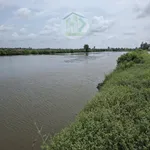 Bán đất lúa tôm 9.773 m² thị trấn Phước Long, Cà Mau - Ảnh thu nhỏ 2