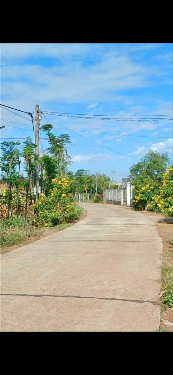 Bán nhà vườn 6279m² tại Xuân Lộc, Đồng Nai, view khu du lịch - Ảnh thu nhỏ 2