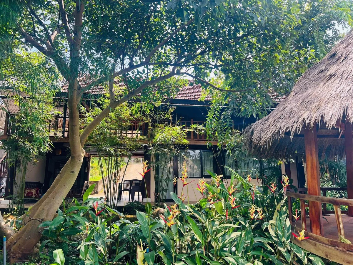 Sang nhượng homestay 1.163m² 7 phòng, doanh thu 20-30tr/tháng, 4,2 tỷ - Ảnh thu nhỏ 2