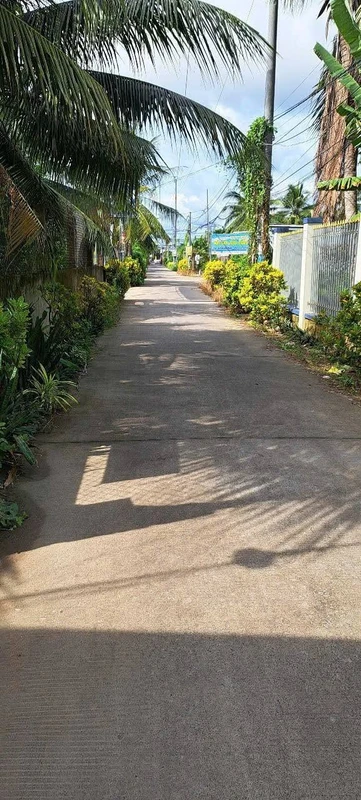 Bán đất 1 công tặng 45 phòng trọ đang cho thuê gần KCN An Hiệp, Bến Tre