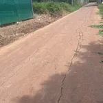 Bán đất 2 mặt tiền 245m² Buôn Ma Thuột 5,3 tỷ - Ảnh thu nhỏ 2