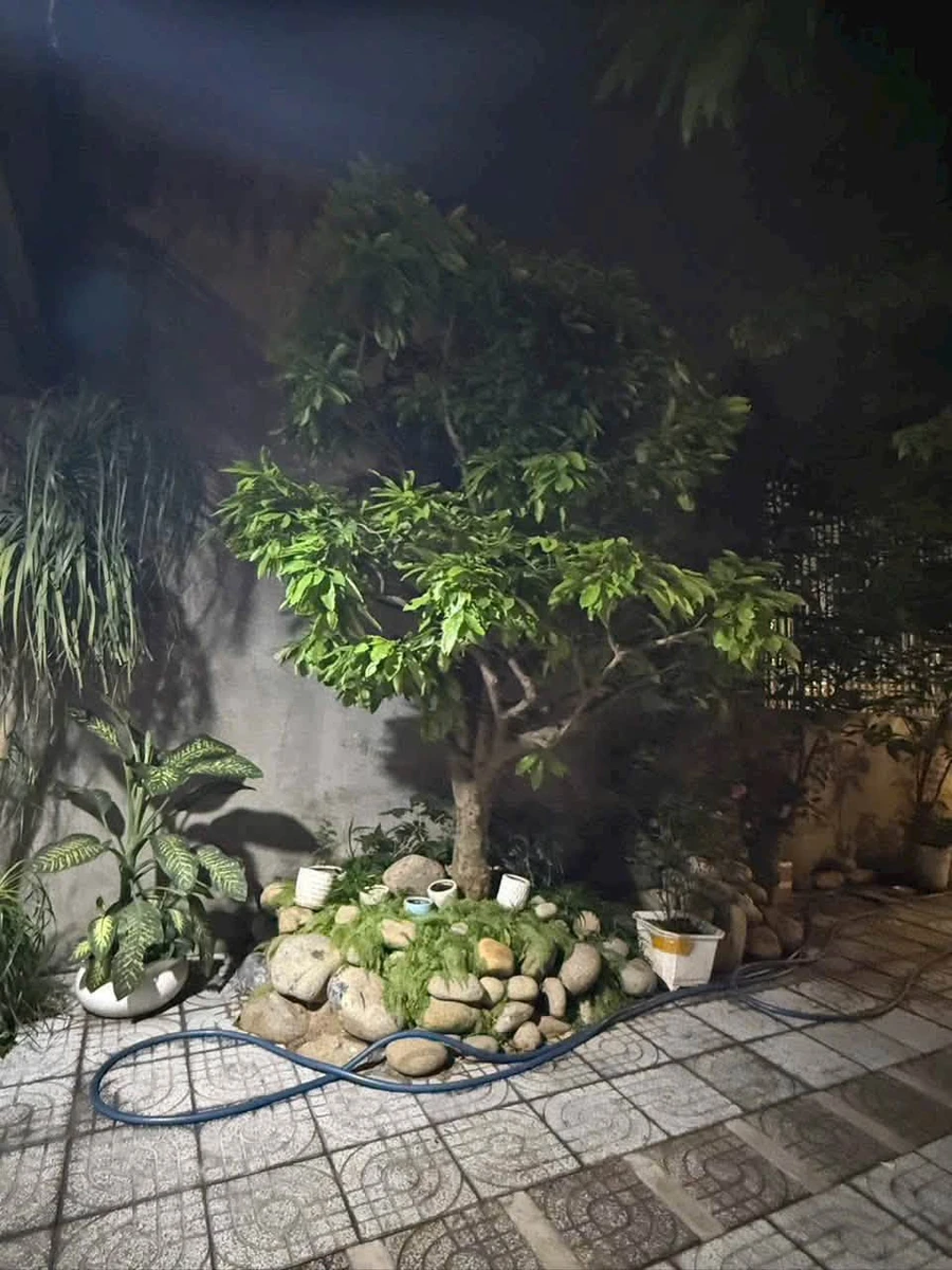 Bán nhà 1 trệt 1 lầu 174m² Phú Lợi, Bình Dương 6.5 tỷ - Ảnh thu nhỏ 4