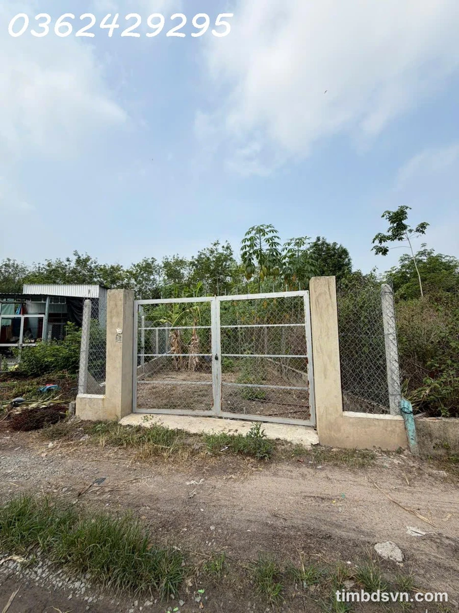 Bán đất 217.7m2 có thổ cư xã Thanh Tuyền, huyện Dầu Tiếng, Bình Dương chỉ với giá siêu hời 1,2 tỷ - Ảnh 1