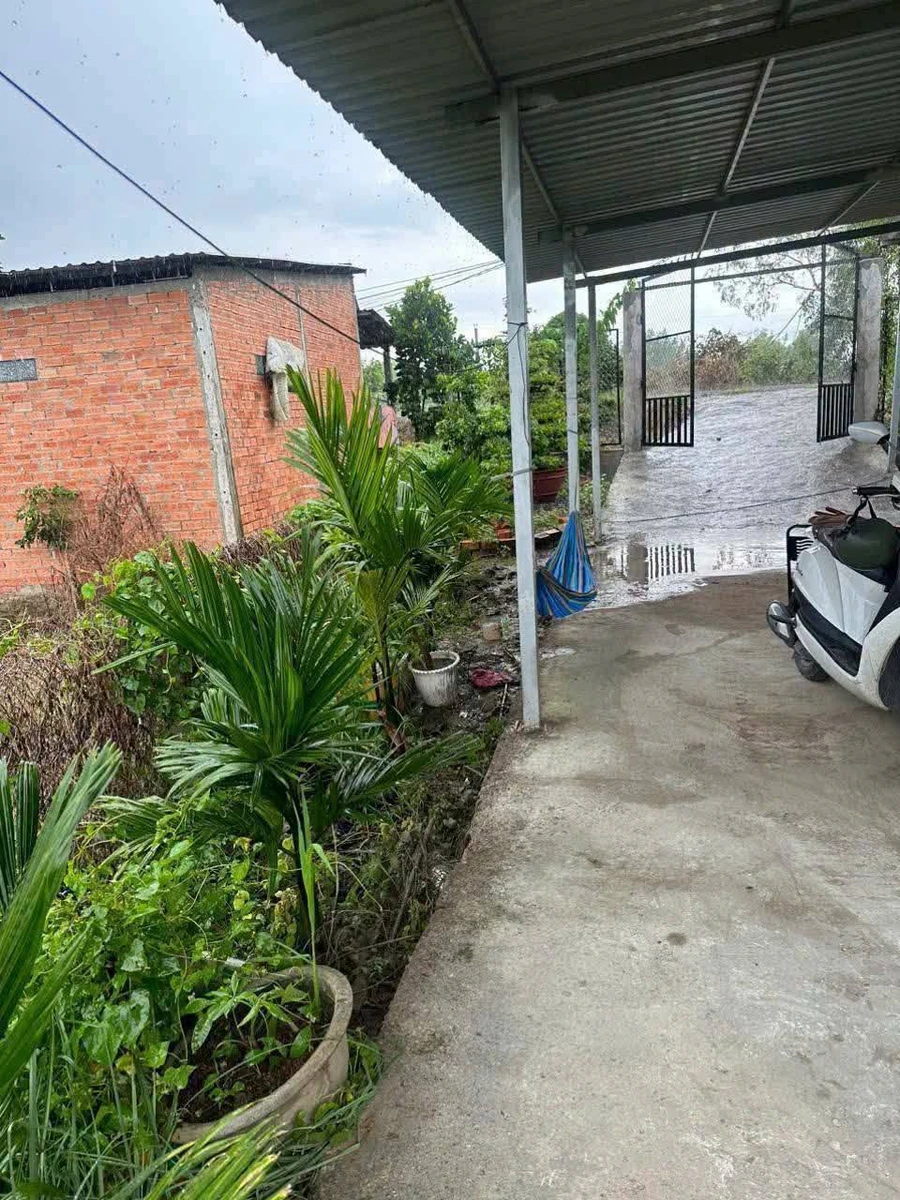 Bán nhà vườn 1000m² giá 1 tỷ 50 triệu tại Thạnh Lợi - Ảnh thu nhỏ 4