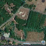 Bán đất Bình An Long Thành 1600m² sổ hồng - Ảnh thu nhỏ 1